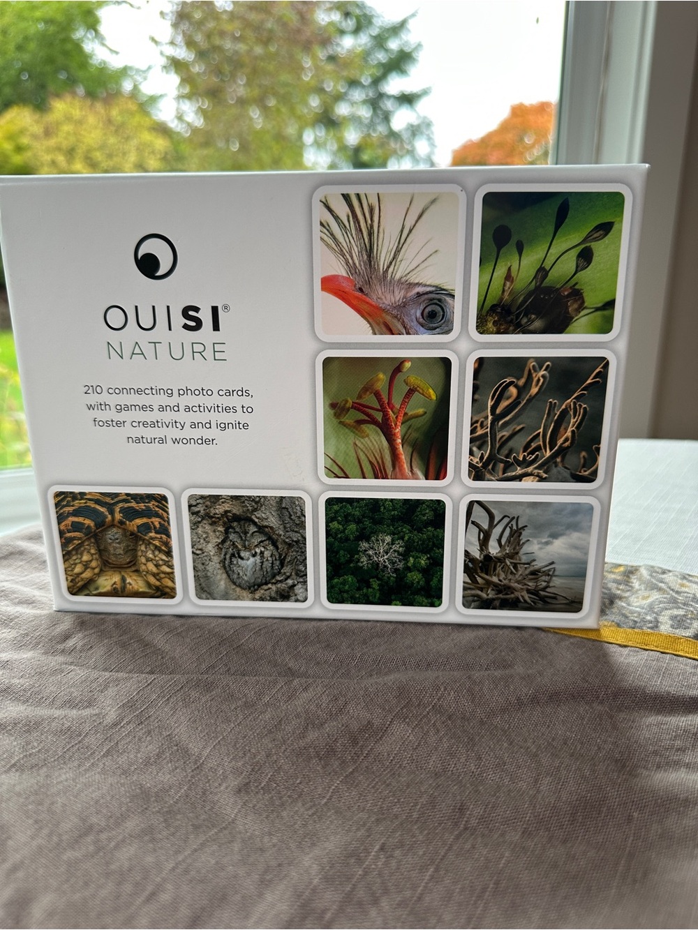 OuiSi Nature visual connection game set.